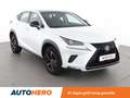 Lexus NX 300h NX 300h E-Four Sport Line Blanc - thumbnail 8
