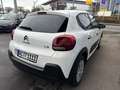 Citroen C3 PureTech 110 Max Navi SHZ 17'' Alu Kamera Keyless Weiß - thumbnail 5