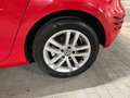Volkswagen Golf Plus 1.6TDI Sport Rojo - thumbnail 20
