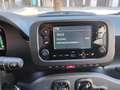 Fiat Panda 1.0 FireFly HYBRID KM 0  SENSORI POST PREZZO REALE Rosso - thumbnail 15