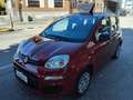 Fiat Panda 1.0 FireFly HYBRID KM 0  SENSORI POST PREZZO REALE Rosso - thumbnail 1
