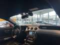 Ford Mustang Fastback 2.3 EcoBoost Shaker audio | Stoelverwarmi Rood - thumbnail 2