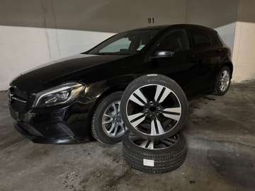 BlueEffic. / Hagelschaden