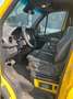 Mercedes-Benz Sprinter III Pritsche DoKa RWD/AWD 515/517/519 C Gelb - thumbnail 14