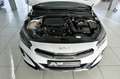 Kia XCeed 1.5 T-GDI GT-line Panorama Garantie2030 Wit - thumbnail 20