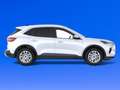 Ford Kuga Titanium | Neues Modell | LED | NAVI | LMF Blanc - thumbnail 4