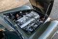 Aston Martin DB DB6 MK2 | Factory left-hand drive | five speed Grün - thumbnail 34