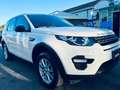 Land Rover Discovery Sport 2.0 td4 HSE Luxury awd 150cv White - thumbnail 1
