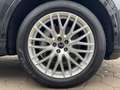 Audi Q7 45 TDI S line quattro tiptronic Panorama Stan Schwarz - thumbnail 16