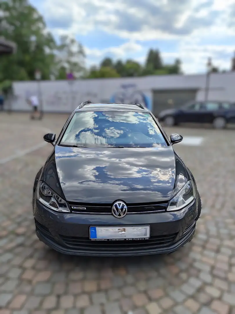 Volkswagen Golf Golf 1.6 TDI BlueMotion Technology Trendline Grau - 2