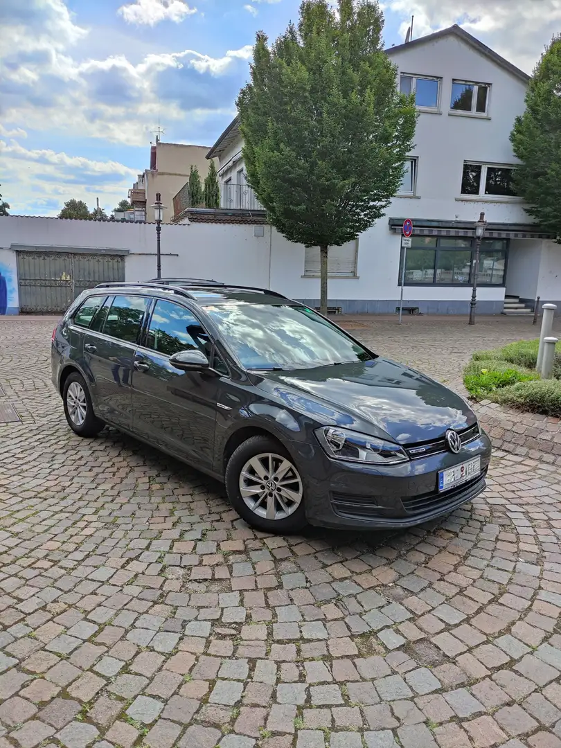 Volkswagen Golf Golf 1.6 TDI BlueMotion Technology Trendline Grau - 1