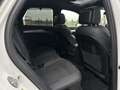 Audi Q5 40 TDI quattro S-line S-tronic/3xS-LINE/PANO/SH... Weiß - thumbnail 29