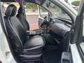 Fiat Qubo 1.4 8v Easy Bianco - thumbnail 10