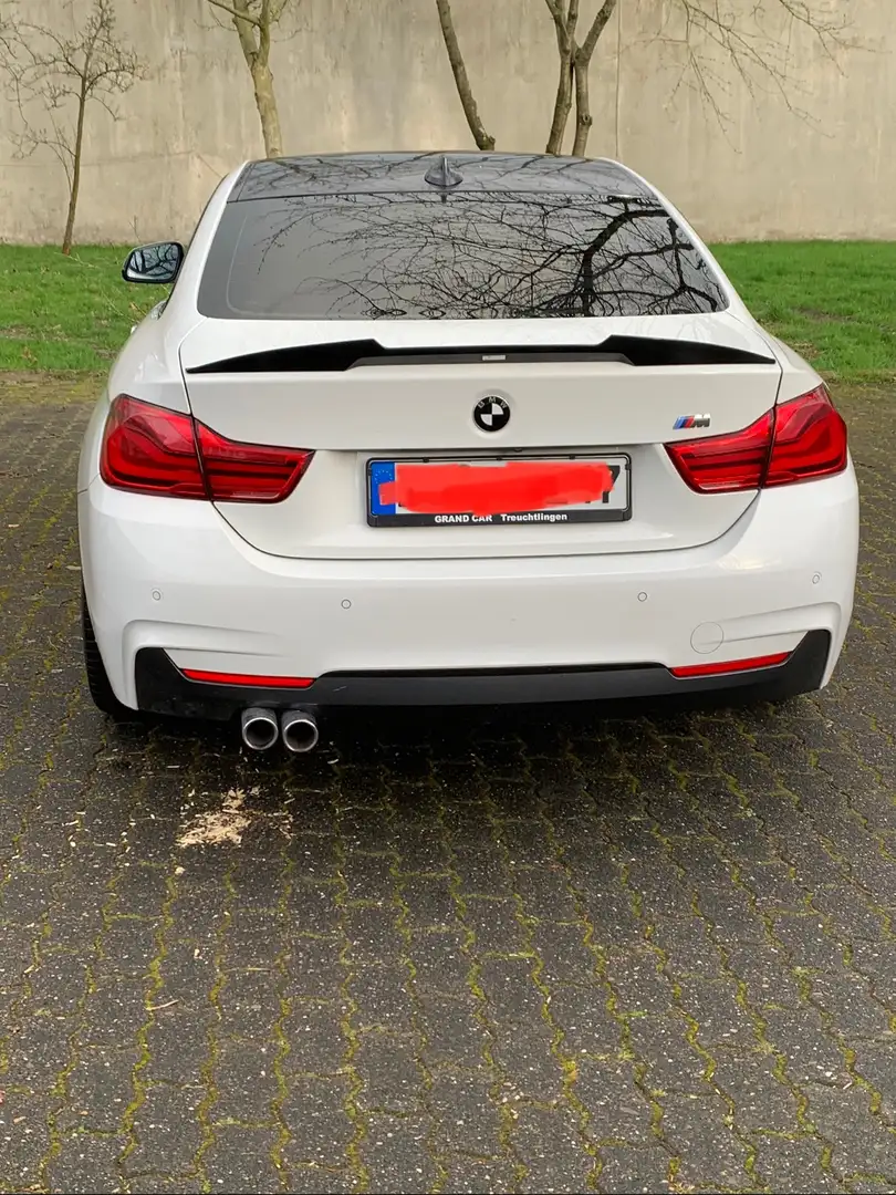 BMW 425 Weiß - 2