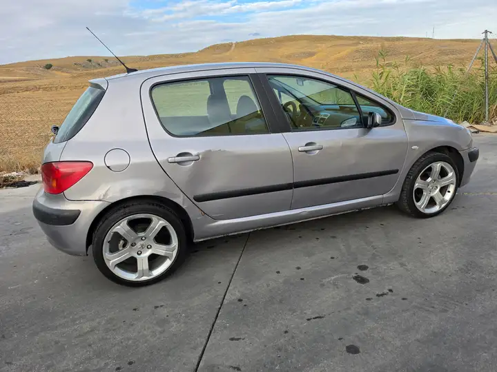 Peugeot 307 2.0 HDI XR 2003, foto 6