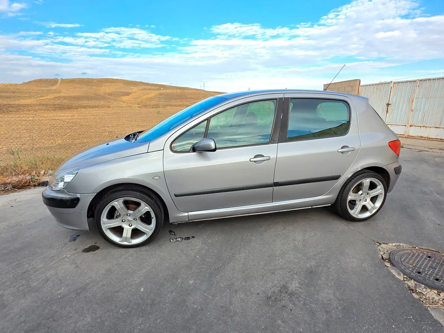 Peugeot 307 307 2.0HDI XR XR Gris - 1