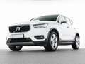 Volvo XC40 T3 Momentum Pro 18"+AHK+RFK+FRONTSCHEIBENHZ Білий - thumbnail 7