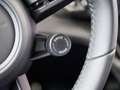 Porsche Cayenne Schwarz - thumbnail 20