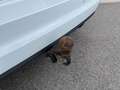 Volkswagen Touran 2.0 TDI DSG Comfortline AHK*ACC*7-Sitze Weiß - thumbnail 20