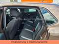 Volkswagen Polo 1.2 TSI DSG Life AHK SHZ Braun - thumbnail 12