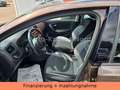 Volkswagen Polo 1.2 TSI DSG Life AHK SHZ Braun - thumbnail 9