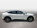 Ford Mustang Mach-E Basis Weiß - thumbnail 6