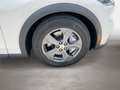Ford Mustang Mach-E Basis Weiß - thumbnail 7