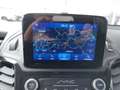 Ford Tourneo Connect Titanium 1,5 EcoBlue L1 Aut. Orange - thumbnail 9