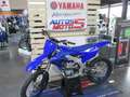 Yamaha Bleu - thumbnail 3