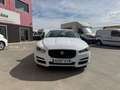 Jaguar XE 2.0D I4 132kW(180CV) RWD AT R-Dynamic SE Bianco - thumbnail 23