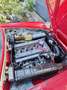 Alfa Romeo Spider Coda Tronca moteur 2000 de 1982 Rot - thumbnail 6