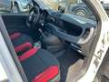 Fiat Panda 1.0 GSE S&S Hybrid Pop Van 2 posti Bílá - thumbnail 5