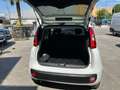 Fiat Panda 1.0 GSE S&S Hybrid Pop Van 2 posti Bílá - thumbnail 4