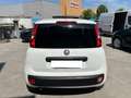 Fiat Panda 1.0 GSE S&S Hybrid Pop Van 2 posti Bílá - thumbnail 3
