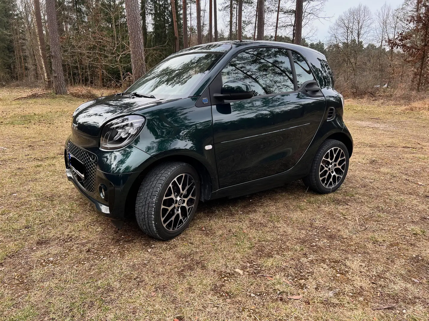 smart forTwo smart fortwo EQ prime Vollausstattung Grün - 1