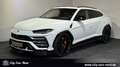 Lamborghini Urus 24 ZOLL-INDIVIDUAL-B&O-360° Weiß - thumbnail 1