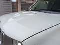 Jeep Renegade Limited 1.0 T-GDI Blanco - thumbnail 7