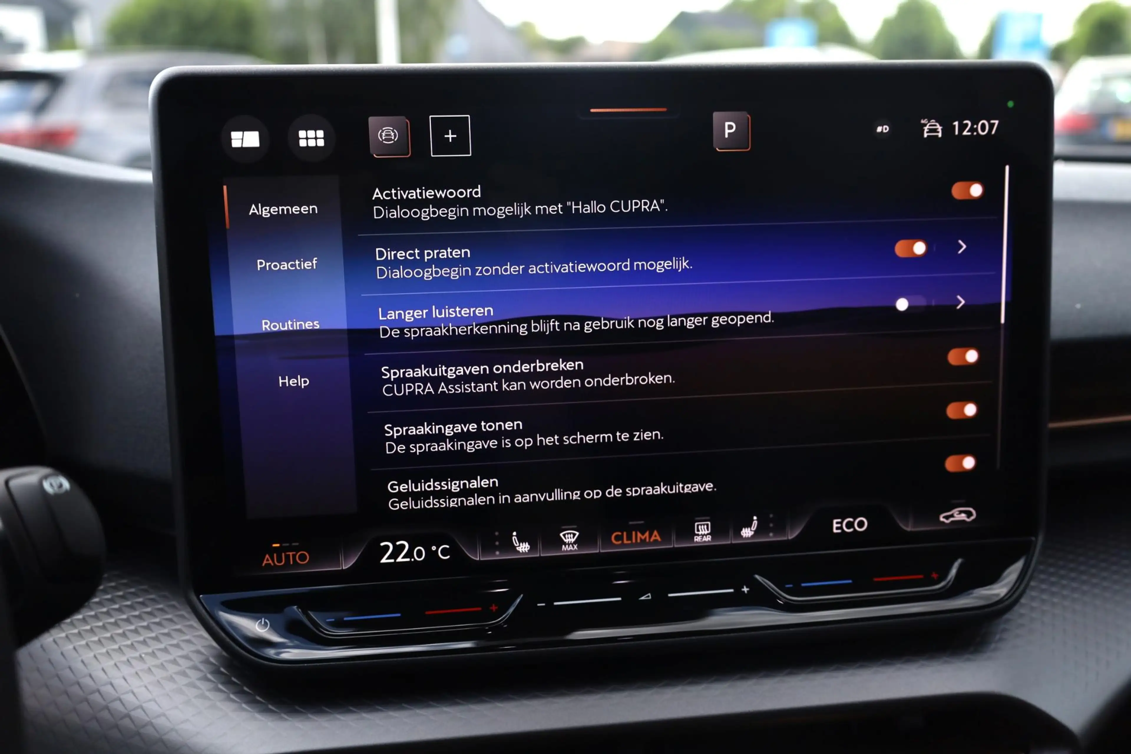 CUPRA Raval Business First Edition 56 kWh 211PK / 155kW, Apple — photo 31