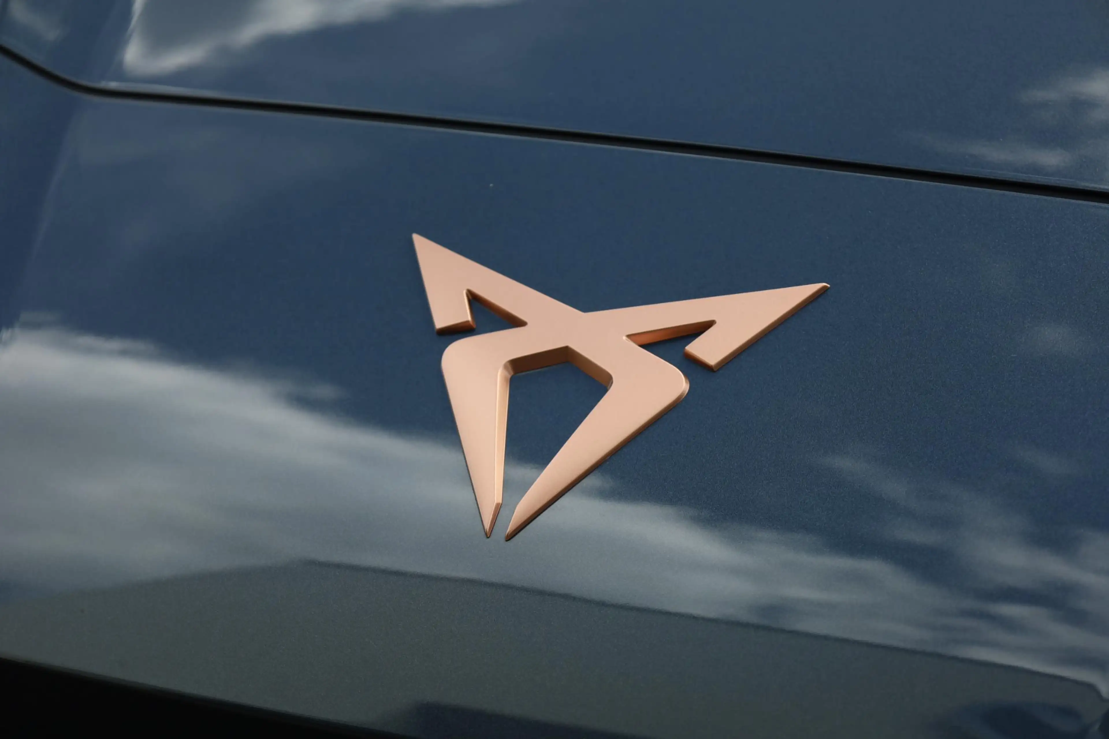 CUPRA Raval Business First Edition 56 kWh 211PK / 155kW, Apple — photo 10