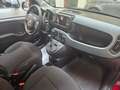 Fiat Panda Panda Cross 1.0 hybrid 70CV Красный - thumbnail 9