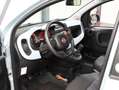 Fiat Panda 1.0 Hybrid Launch Edition | Armsteun | DAB Radio | Vert - thumbnail 10