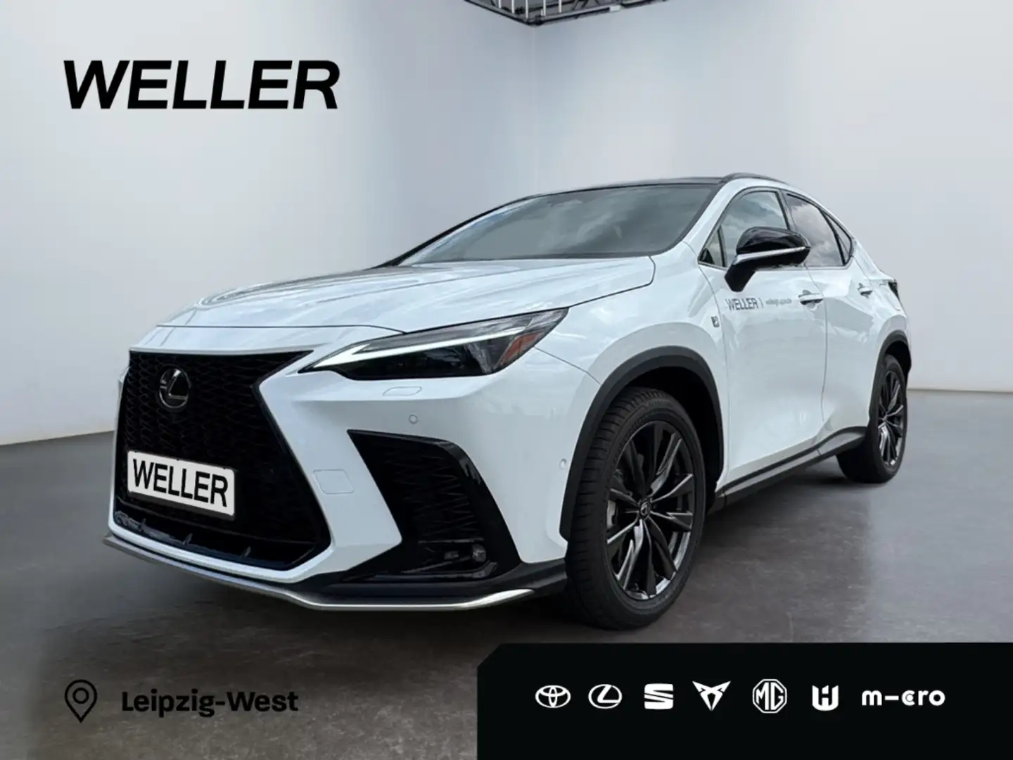 Lexus E-FOUR F SPORT *Pano*360*Navi*LED*Memory* Wit - 1