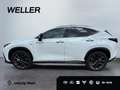 Lexus E-FOUR F SPORT *Pano*360*Navi*LED*Memory* Wit - thumbnail 5