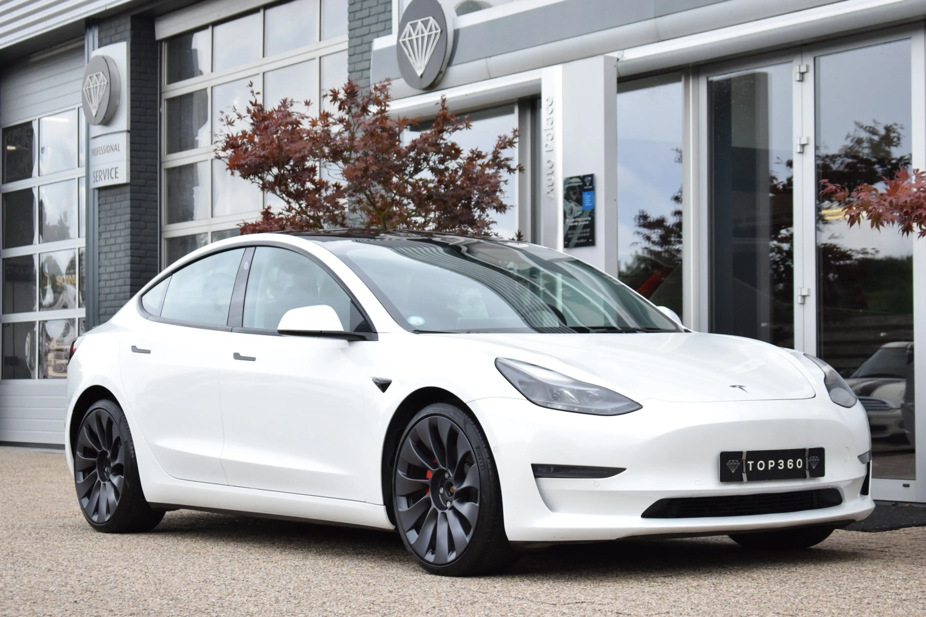 Tesla Model 3 Performance AWD 500 PK! 75 kWh 360KW — photo 12