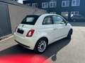 Fiat 500C 1.2i Pop*CABRIO  ,AIRCO ETC Weiß - thumbnail 5