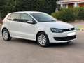 Volkswagen Polo Polo 5p 1.4 tdi Comfortline Bianco - thumbnail 4