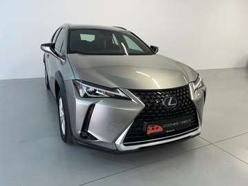 Executive 2WD