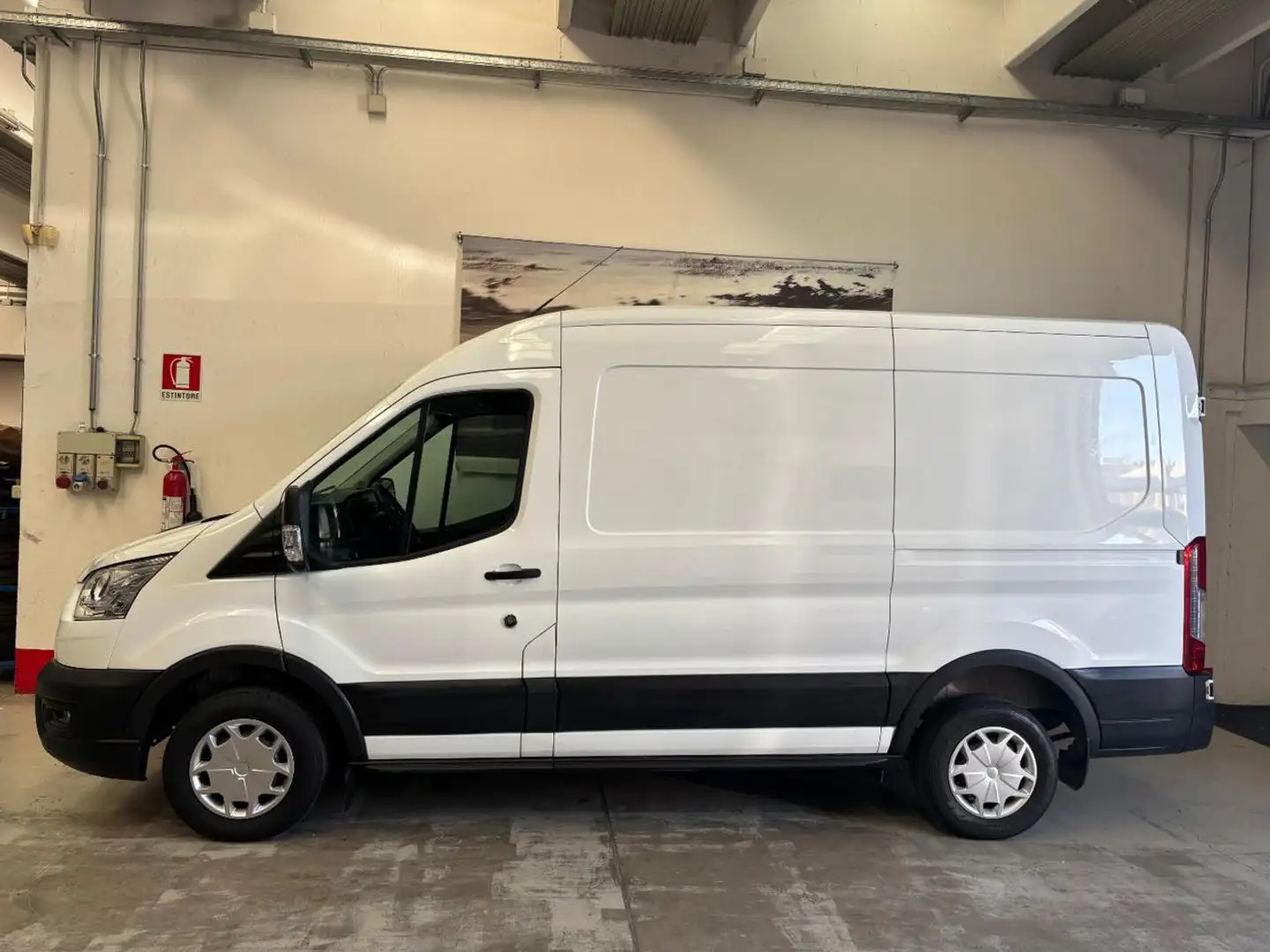 Ford Transit 290 2.0TDCi EcoBlue 130CV PM-TM Furgone Trend Blanco - 1