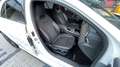 Mercedes-Benz A 35 AMG A*35*AMG*4Matic*360-Kam*2-Z-Klima*LED*Temp*Spur Weiß - thumbnail 23