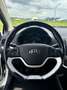 Kia Picanto 1.0 CVVT BusinessLine Blanc - thumbnail 12